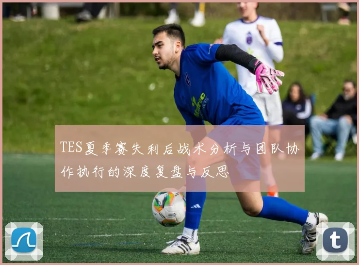 TES夏季赛失利后战术分析与团队协作执行的深度复盘与反思